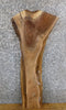 Thumbnail for Black Walnut Live Edge Rustic Accent/Side Table Top Slab 1723