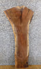 Thumbnail for Black Walnut Live Edge Rustic Accent/Side Table Top Slab 1723