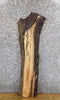 Thumbnail for Natural Edge Salvaged Black Walnut Accent/Sofa Table Top Slab 1724