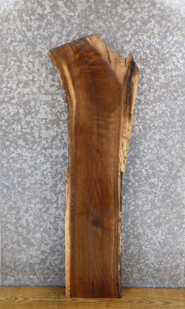 Natural Edge Salvaged Black Walnut Accent/Sofa Table Top Slab 1724