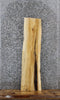 Thumbnail for Maple Live Edge Shelf/Taxidermy Slab 1725