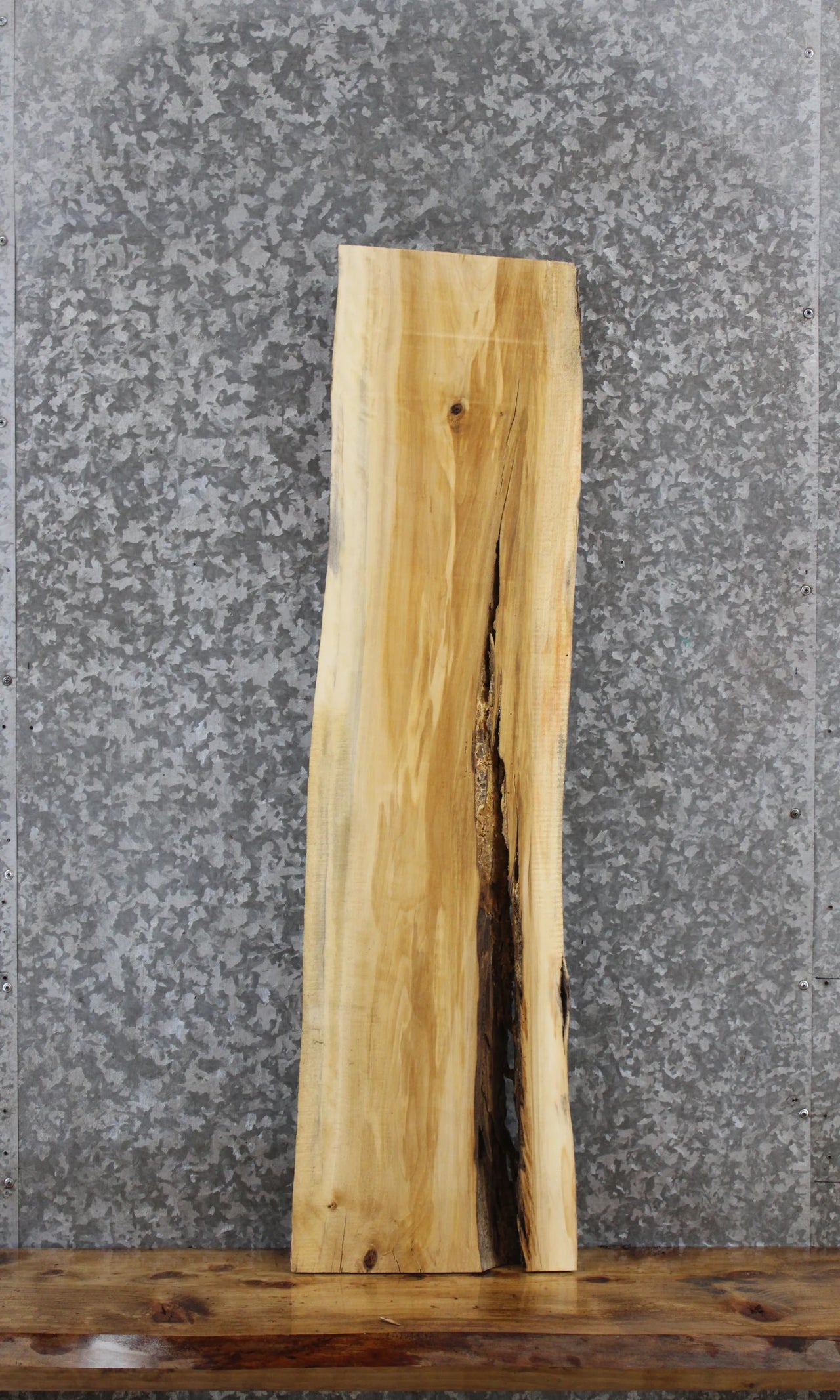 Maple Live Edge Shelf/Taxidermy Slab 1725