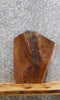 Thumbnail for Live Edge Black Walnut Taxidermy Mount/End Table Top Slab 13126