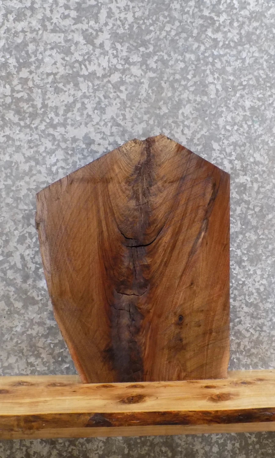 Live Edge Black Walnut Taxidermy Mount/End Table Top Slab 13126