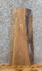 Thumbnail for Live Edge Black Walnut Coffee/Accent/End Table Top Slab 1728