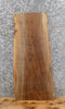 Thumbnail for Live Edge Black Walnut Coffee/Accent/End Table Top Slab 1728