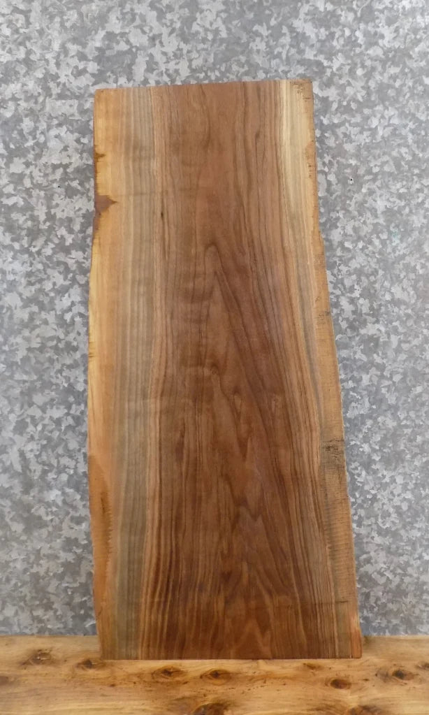 Live Edge Black Walnut Coffee/Accent/End Table Top Slab 1728