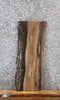 Thumbnail for Black Walnut Live Edge Wood Shelf Slab 1731