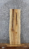 Thumbnail for Spalted Maple Live Edge Charcuterie/Shelf Slab 1733