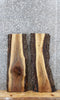 Thumbnail for 2- Live Edge Black Walnut Charcuterie/Taxidermy Slabs 1734-1735