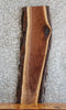Thumbnail for Black Walnut Live Edge Side Table Top/Wall Shelf 1736