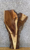 Thumbnail for Live Edge Black Walnut Accent/End Table Top Slab CLOSEOUT 1737