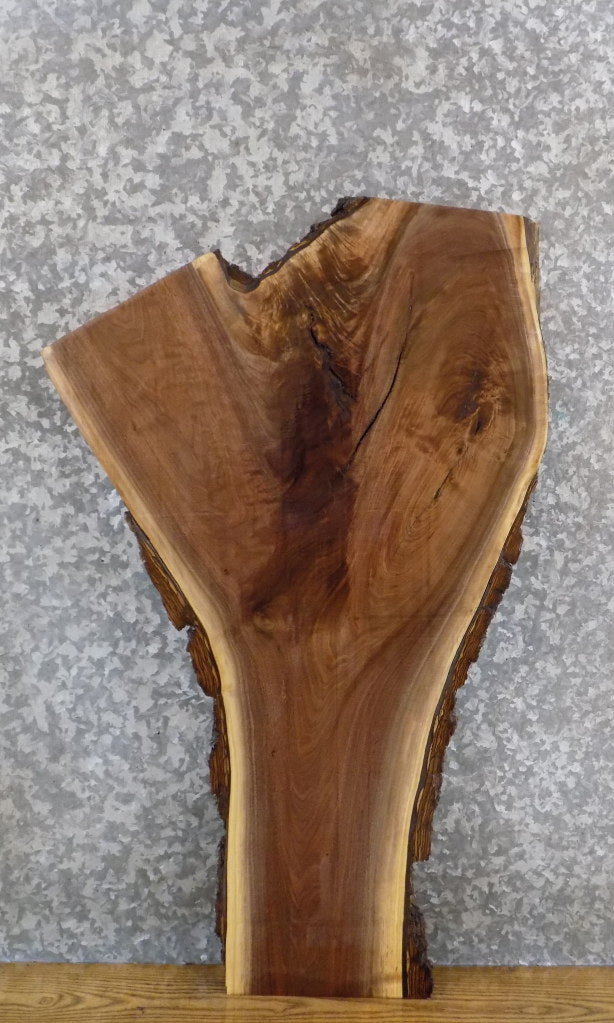 Live Edge Black Walnut Accent/End Table Top Slab CLOSEOUT 1737