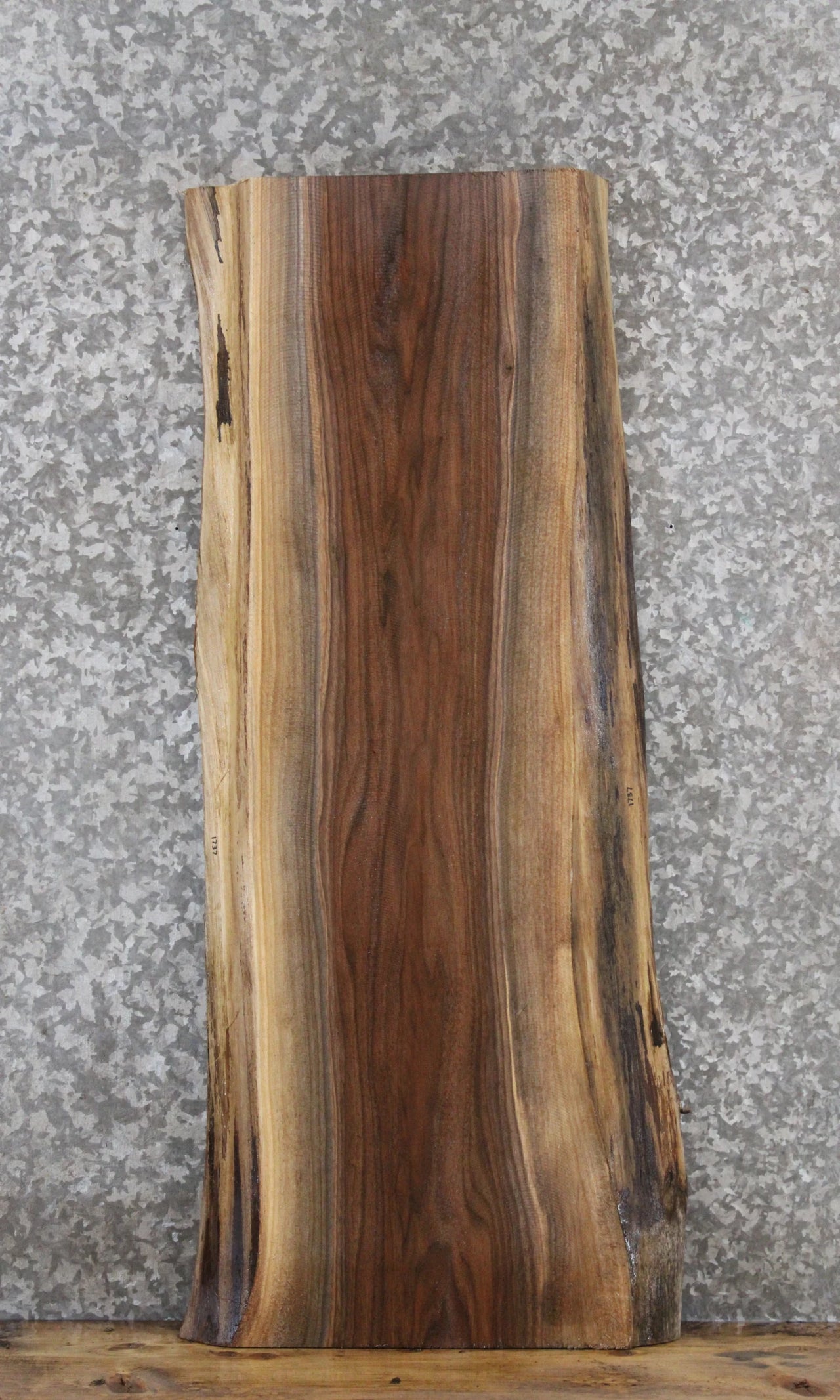 Black Walnut Live Edge End Table/Shelf Slab 1737