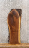 Thumbnail for Live Edge Black Walnut Coffee Table Top 1740