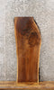 Thumbnail for Live Edge Black Walnut Coffee Table Top 1740