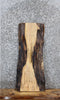 Thumbnail for Spalted Maple Live Edge Taxidermy Slab 1740