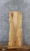 Thumbnail for Spalted Maple Live Edge Taxidermy Slab 1740