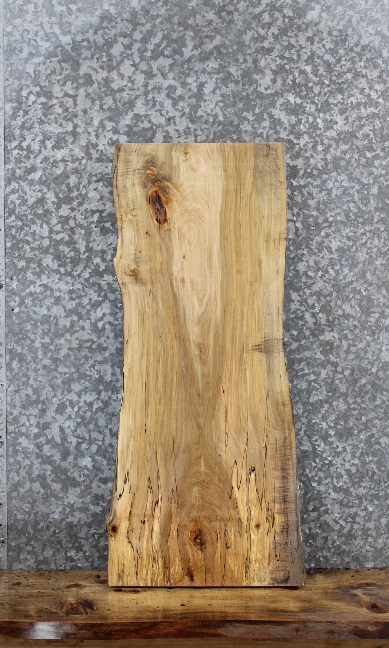 Spalted Maple Live Edge Taxidermy Slab 1740