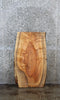 Thumbnail for Salvaged Maple Live Edge Coffee/End Table Top 1741