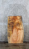 Thumbnail for Salvaged Maple Live Edge Coffee/End Table Top 1741