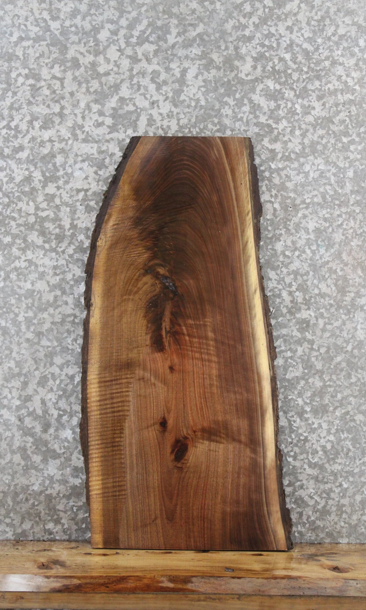 Black Walnut Live Edge Charcuterie/End Table Slab 1742