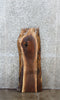 Thumbnail for Walnut Live Edge Bench/Shelf Slab 1742