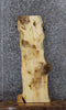 Thumbnail for Knotty Pine Live Edge Bench/Shelf Slab 1742