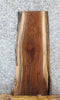 Thumbnail for Live Edge Black Walnut Taxidermy Mount/Side Table Slab 1747