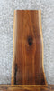 Thumbnail for Live Edge Black Walnut Taxidermy Mount/Side Table Slab 1747