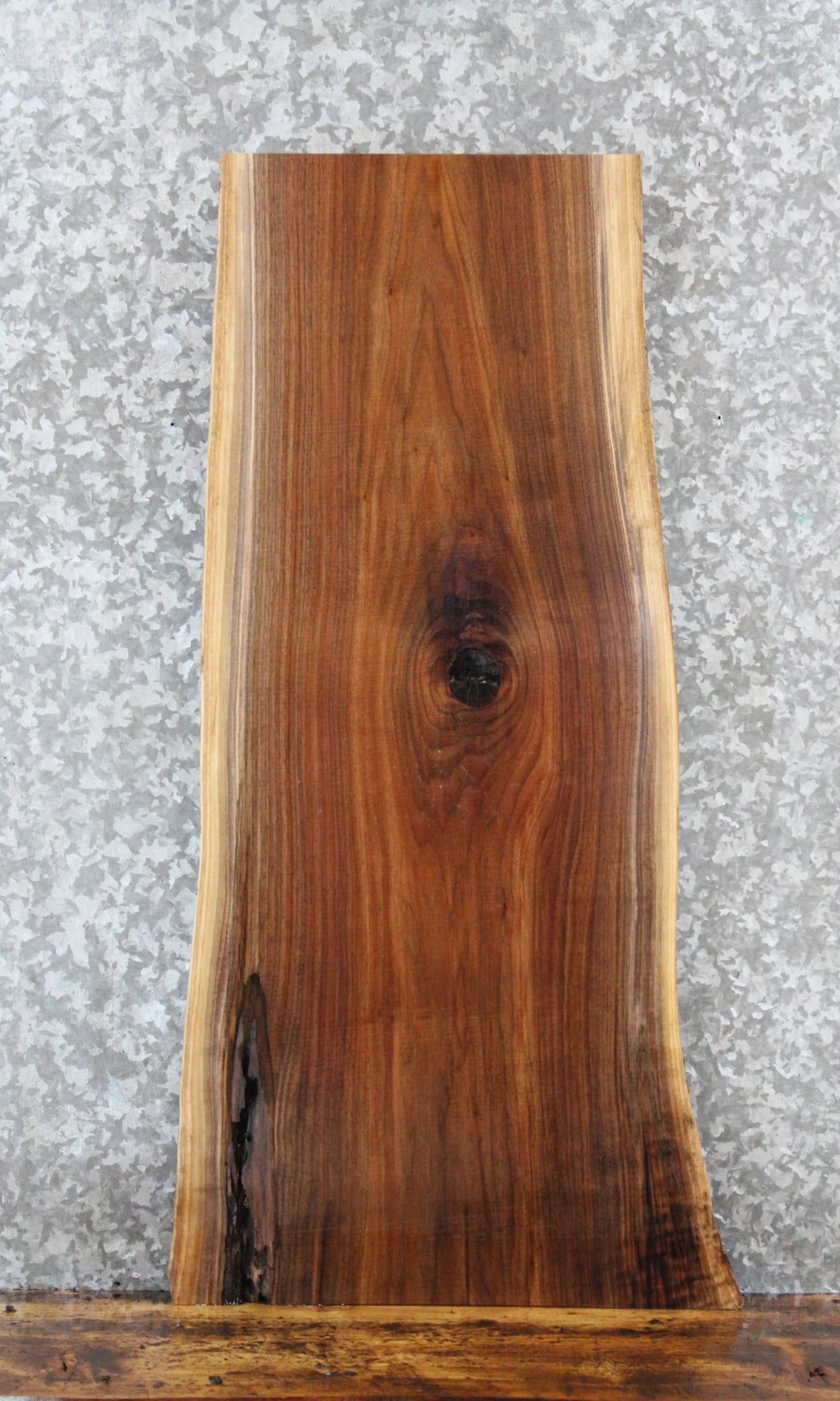 Live Edge Black Walnut Taxidermy Mount/Side Table Slab 1747