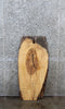 Thumbnail for Ash Live Edge Coffee Table/Bench Slab 1748