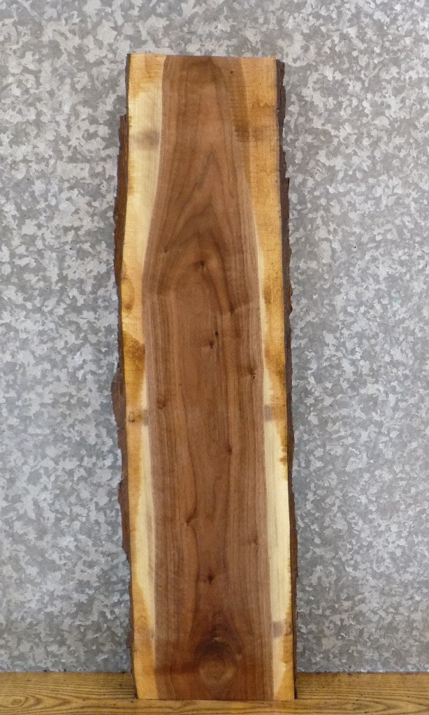 Black Walnut Live Edge Bark Rustic Side/Sofa Table Top Slab 1750