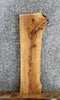 Thumbnail for Live Edge Ash Side Table Top/Taxidermy Mount Slab 1750