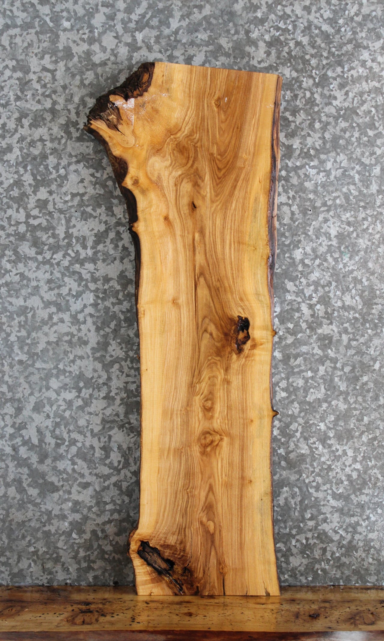 Live Edge Ash Side Table Top/Taxidermy Mount Slab 1750