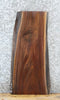 Thumbnail for Live Edge Black Walnut Side Table Slab/Taxidermy Mount 1753
