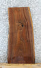 Thumbnail for Live Edge Black Walnut Side Table Slab/Taxidermy Mount 1753