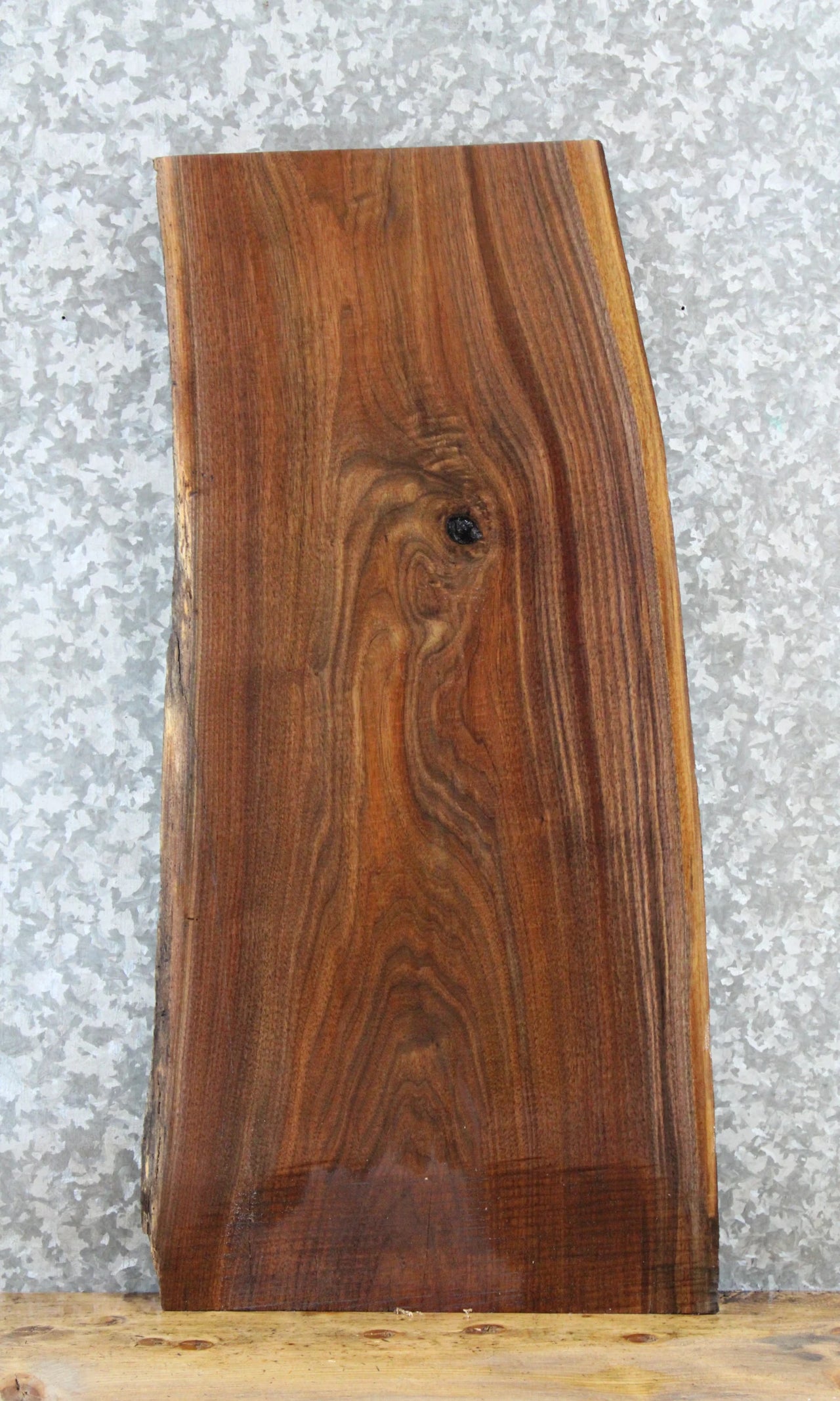 Live Edge Black Walnut Side Table Slab/Taxidermy Mount 1753