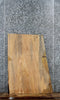 Thumbnail for Maple Live Edge Coffee/End Table Slab 1765