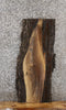 Thumbnail for Black Walnut Live Edge Wood Slab, Bench Top, Shelf Slab 1766