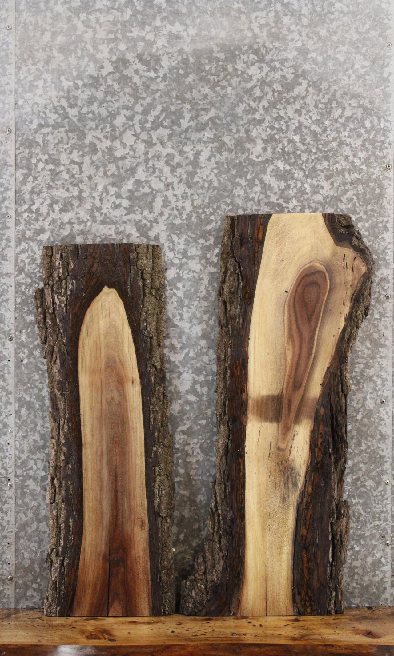 2- Black Walnut Live Edge Charcuterie/Taxidermy Slabs 1769-1770
