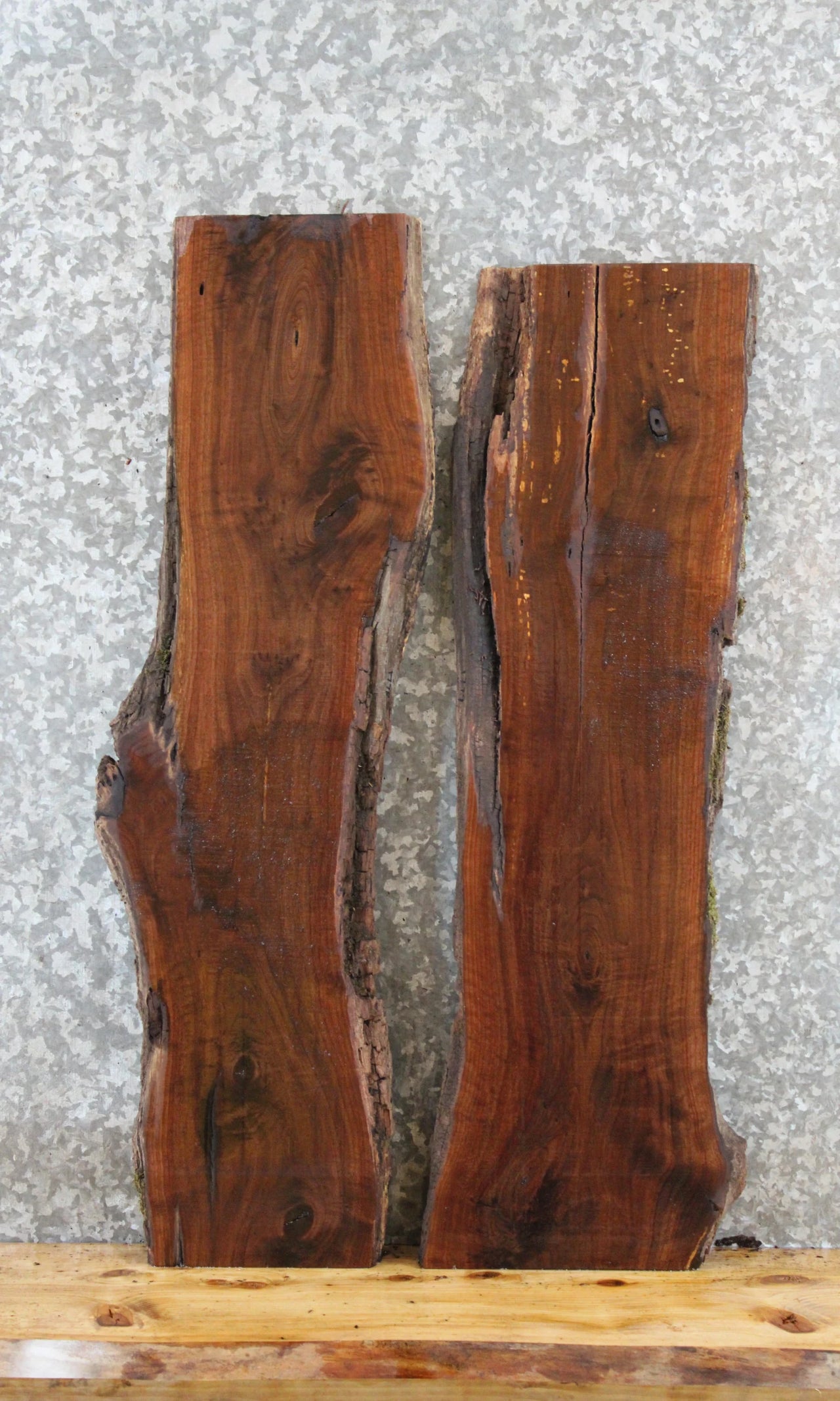 2- Live Edge Black Walnut Charcuterie Boards 1778-1779
