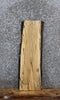 Thumbnail for Spalted Maple Live Edge Charcuterie/Shelf Slab 1779