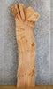 Thumbnail for Natural Edge Rustic Maple Accent/Sofa Table Top Slab 177