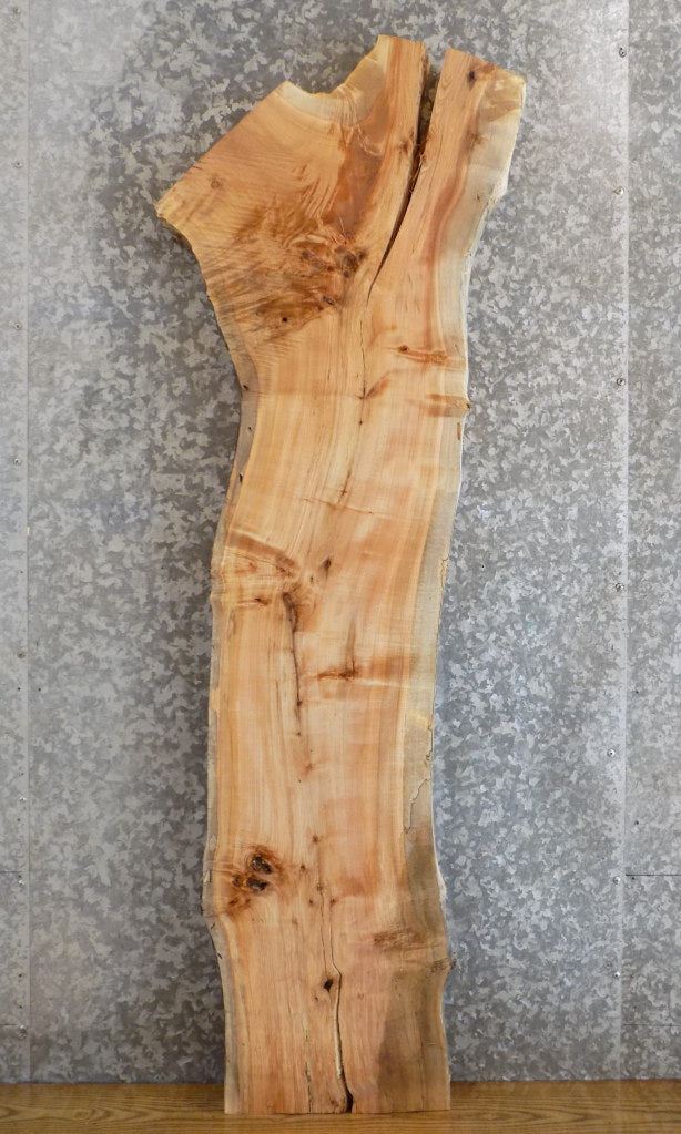 Natural Edge Rustic Maple Accent/Sofa Table Top Slab 177