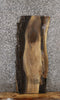 Thumbnail for Black Walnut Live Edge Wood Slab, End Table Top 1781