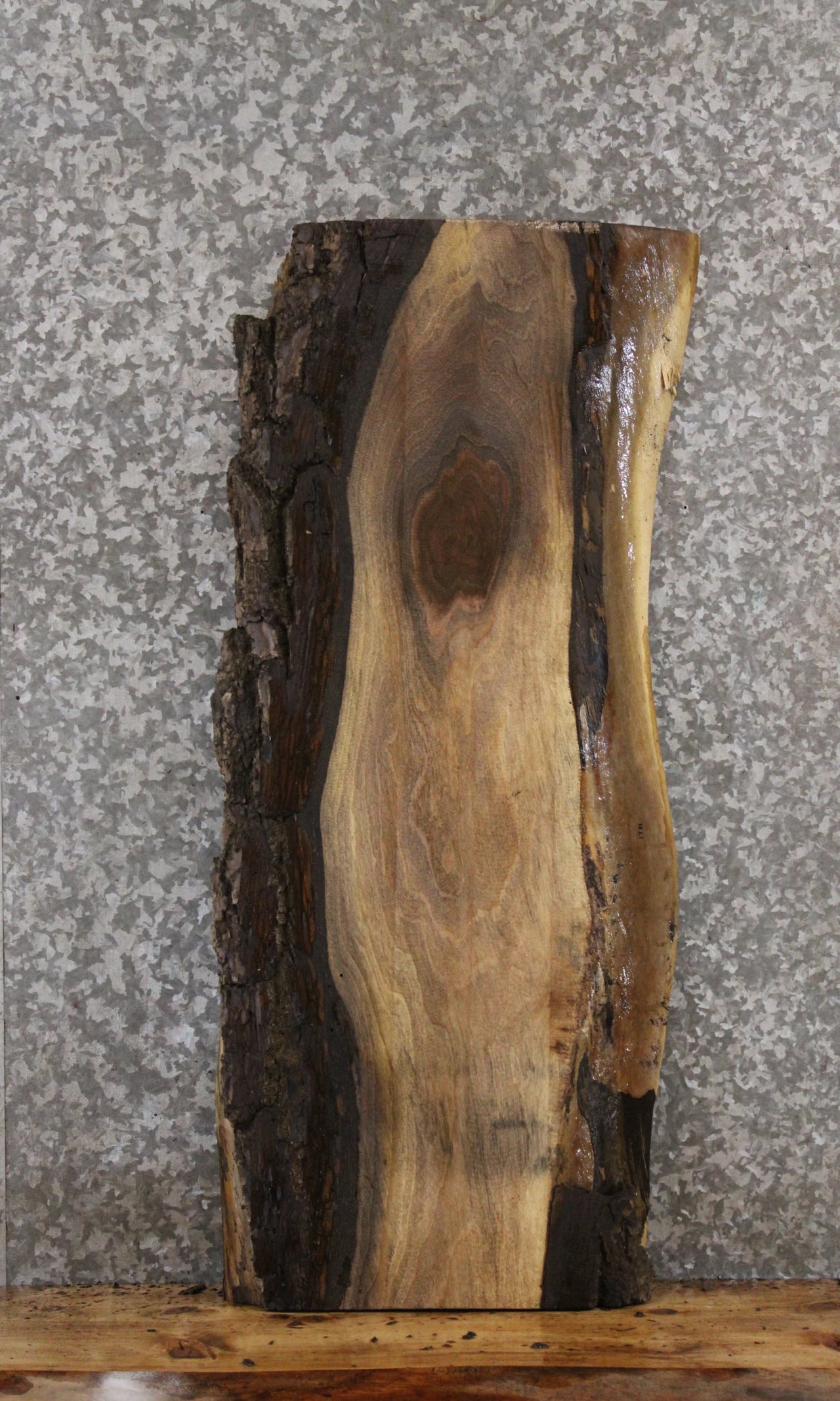 Black Walnut Live Edge Wood Slab, End Table Top 1781