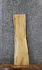 Thumbnail for Maple Live Edge Shelf/Taxidermy Slab 1786