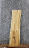 Thumbnail for Maple Live Edge Shelf/Taxidermy Slab 1786