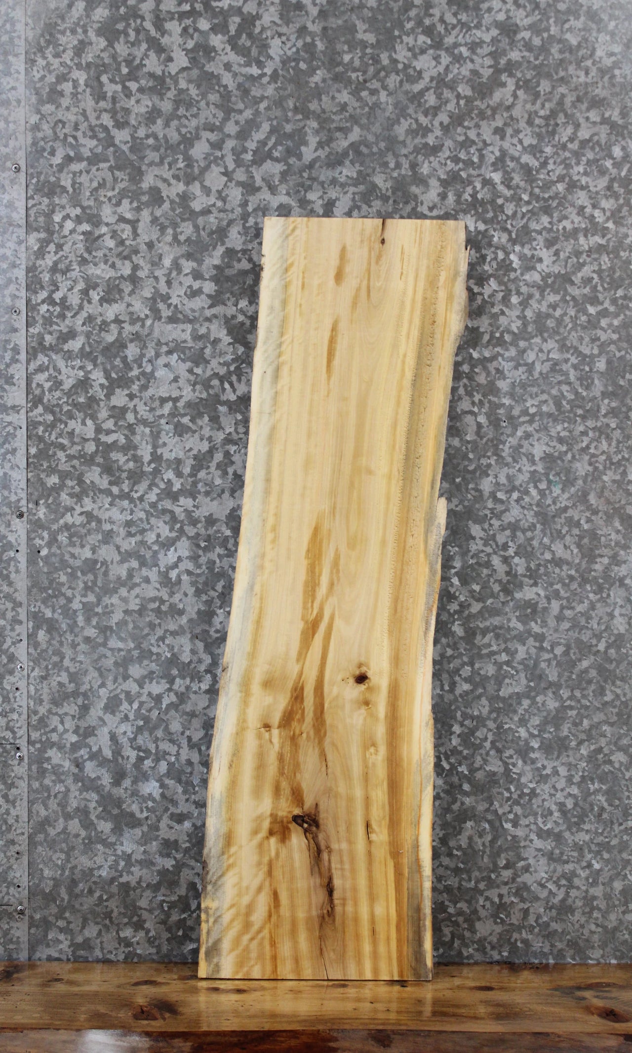 Maple Live Edge Shelf/Taxidermy Slab 1786